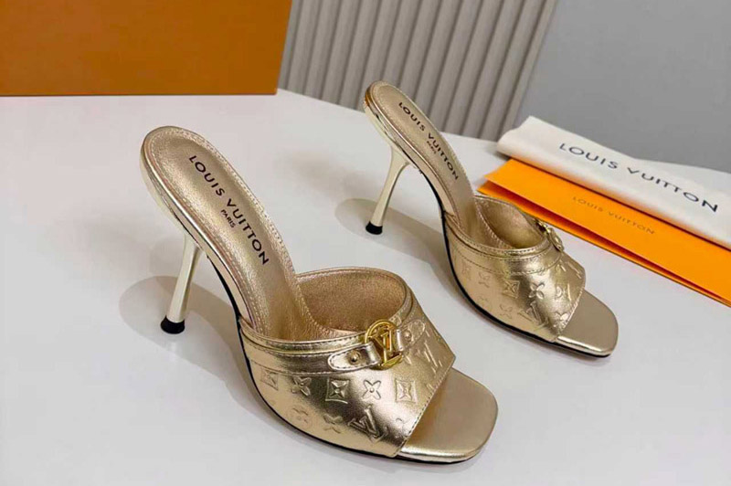 Louis Vuitton Sandal and Slippers