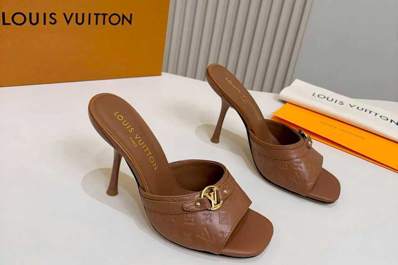 Louis Vuitton Sandal and Slippers