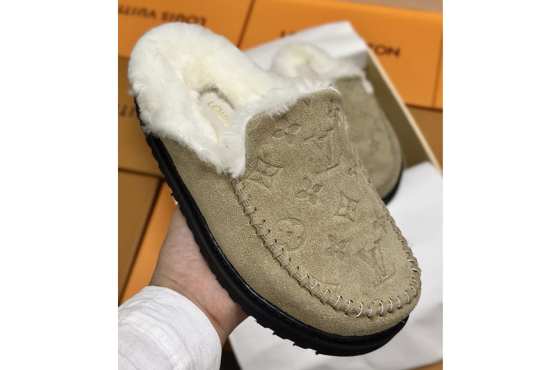 Louis Vuitton Sandal and Slippers