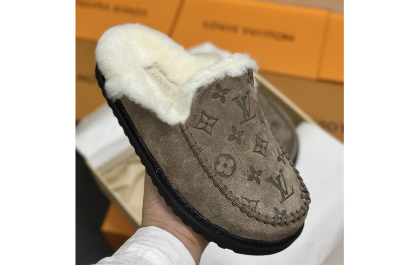 Louis Vuitton Sandal and Slippers