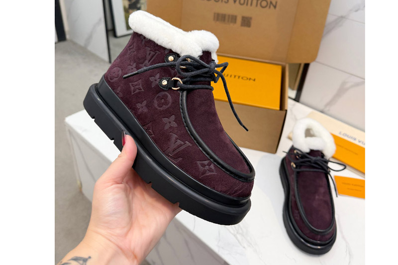 Louis Vuitton Boot and Shoes