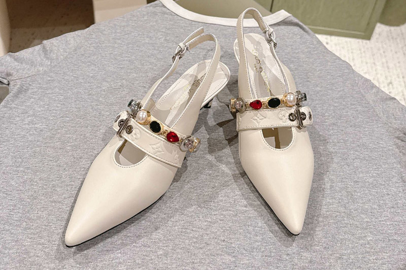 Louis Vuitton Pumps and Shoe