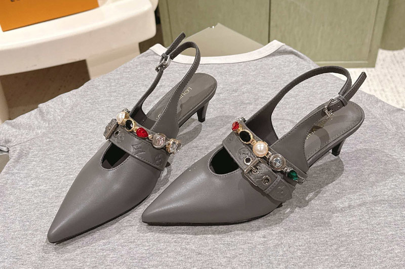 Louis Vuitton Pumps and Shoe
