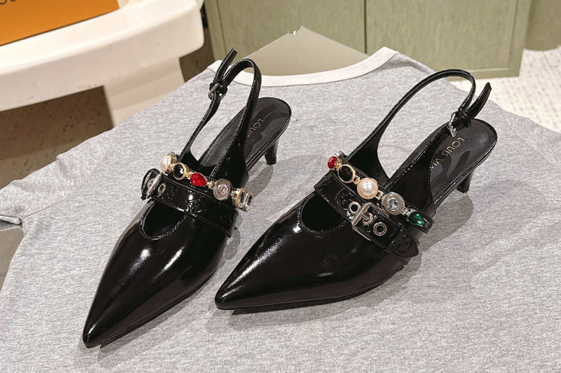 Louis Vuitton Pumps and Shoe