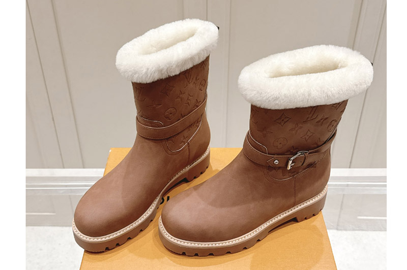 Louis Vuitton Boot and Shoes