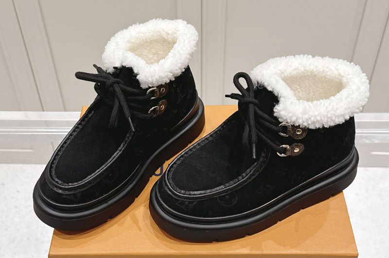 Louis Vuitton Boot and Shoes