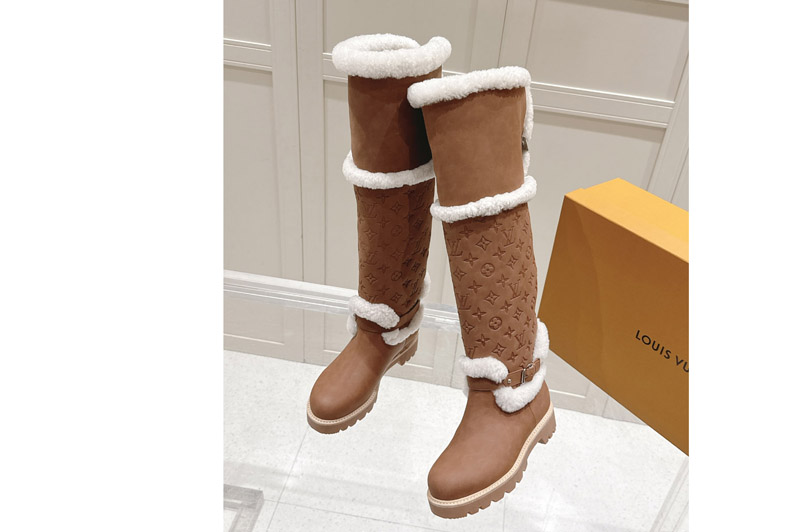 Louis Vuitton Boot and Shoes