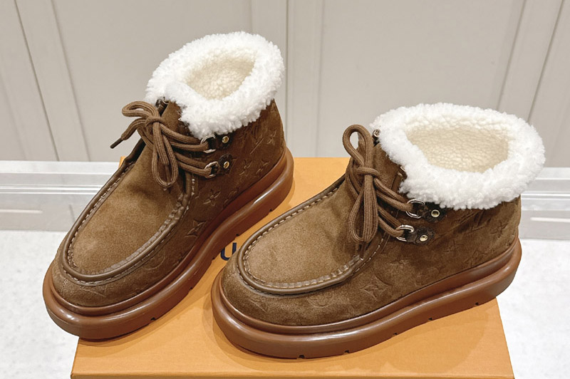 Louis Vuitton Boot and Shoes