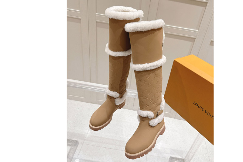Louis Vuitton Boot and Shoes