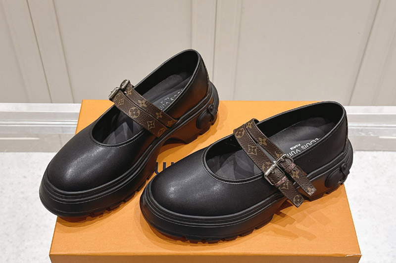 Louis Vuitton Pumps and Shoe