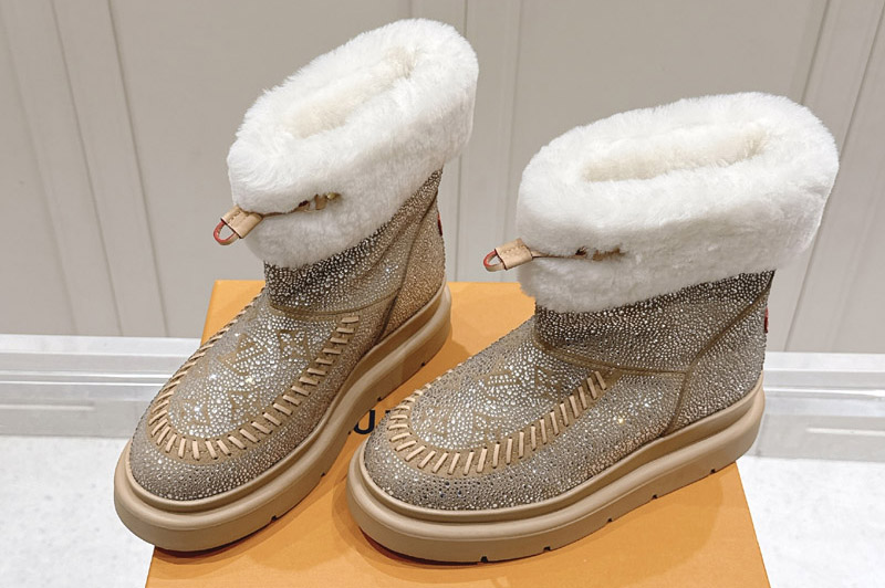 Louis Vuitton Boot and Shoes