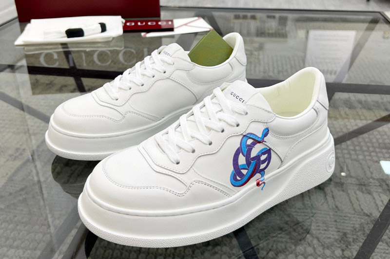Gucci Sneaker and Shoe