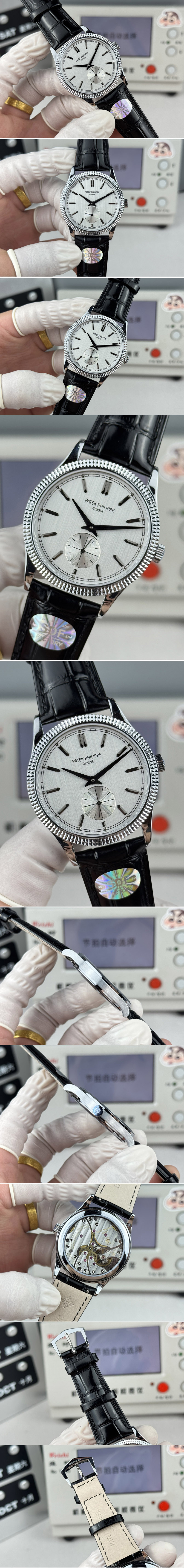 Replica Patek Philippe  Watches