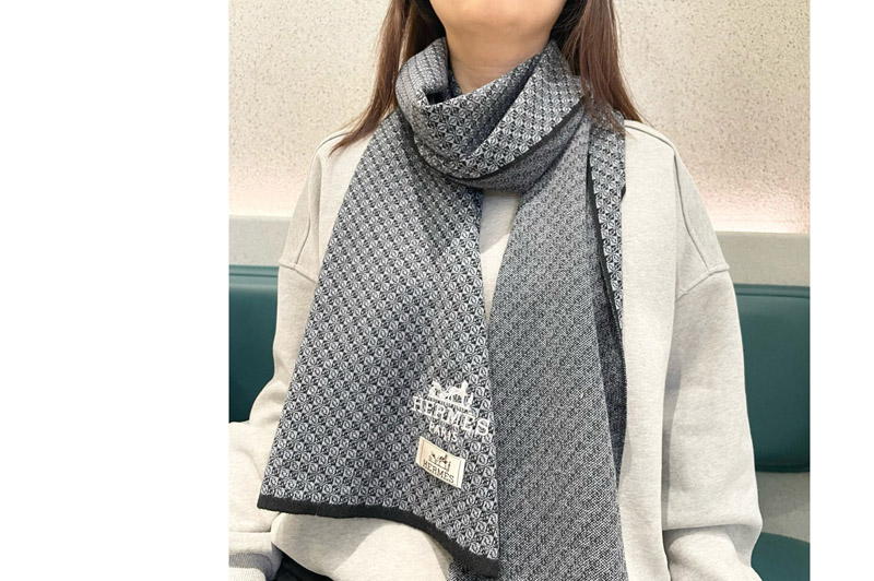 Hermes Scarves